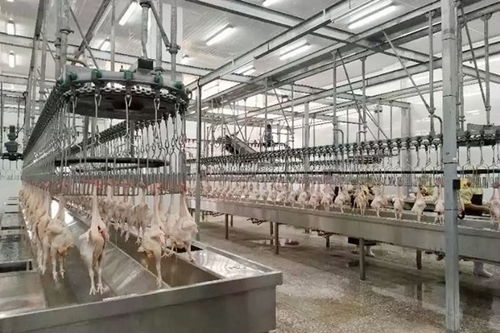 广西金融投资集团 电子工程与金融科技融合的领军者