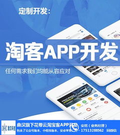 开封淘客软件与花卷云 计算机系统集成服务的成本解析